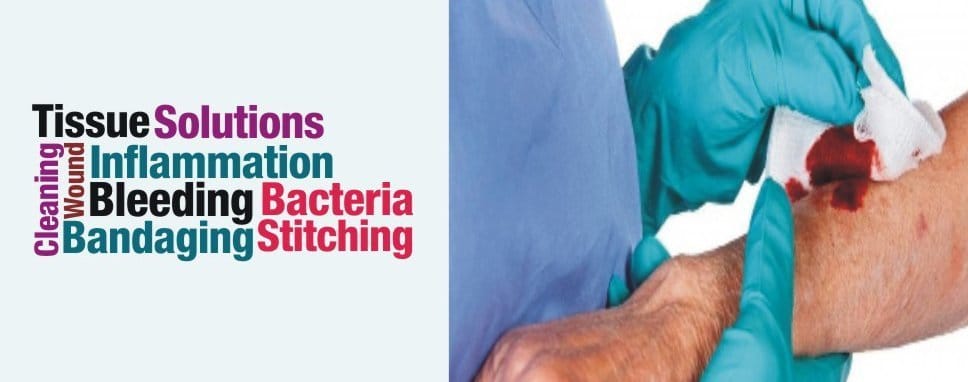 Intravenous Access & Cannulation Program